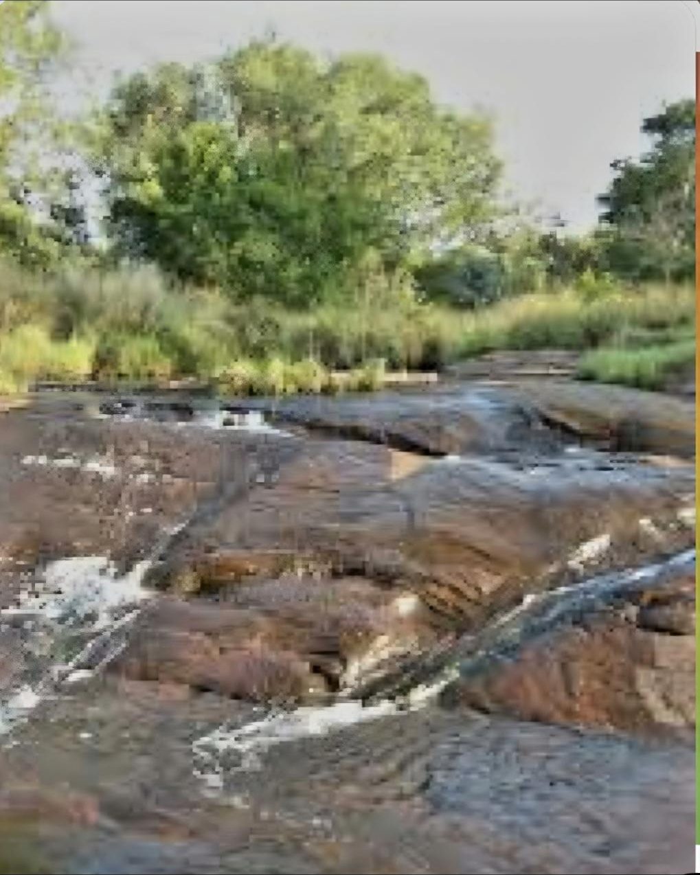 Sheets of layered rock with thin streams of water running toward green trees